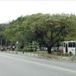 Desentupidora no Jaçanã Desentupidora no Jaçanã